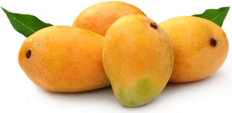 alphonso-mango1 (1)