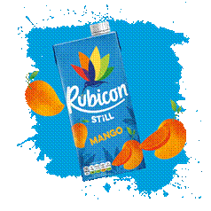 RUBICON Mango Juice Drink 1 Liter