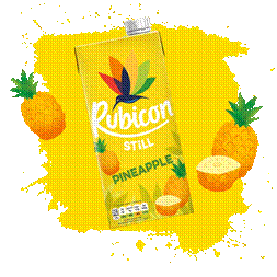 RUBICON Pineapple Juice Drink 1 Liter