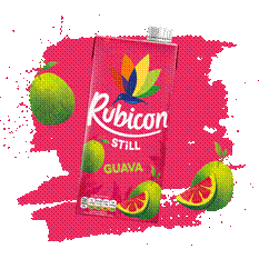 RUBICON Guava Juice Nektar 1 Liter